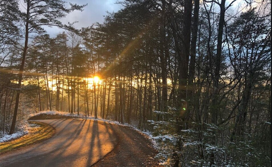 More Photos Of Blue Ridge Heights Drive @ Zell Miller Mountain Pkwy, Blue Ridge Land For Sale