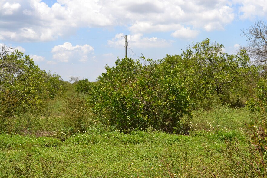 Tower Road Grove and Home Site, Babson Park, FL 33827 Land