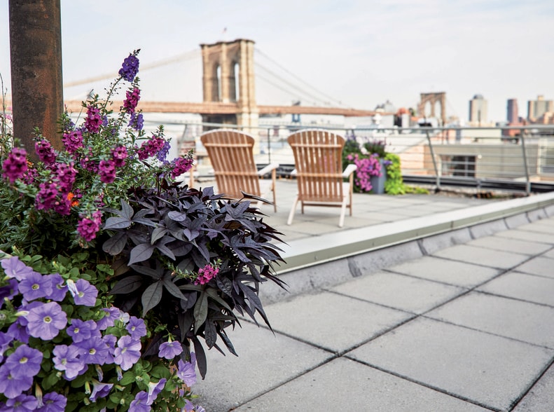 More Photos Of 220 Front St, New York Apartments For Lease