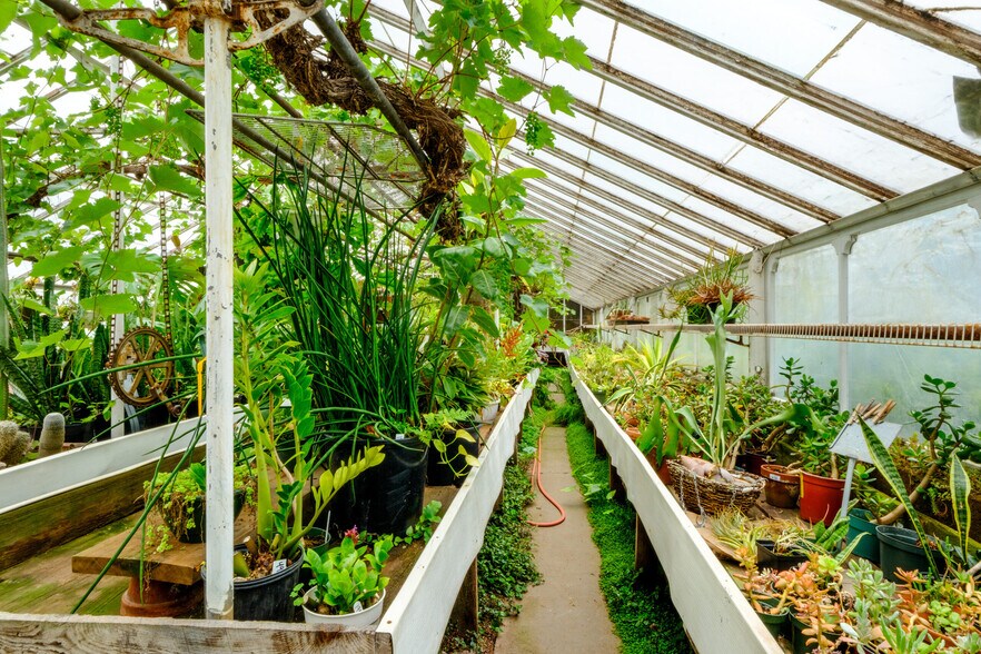 More Photos Of 265 Main St, Delhi Garden Center For Sale