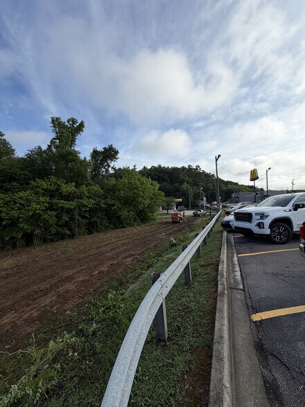 More Photos Of I-59 FREEWAY & SPRINGVILLE, Springville Land For Sale