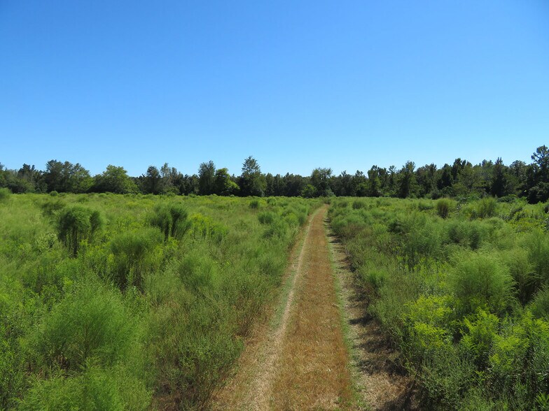More Photos Of Xxxx Greensboro Hwy, Gretna Land For Sale
