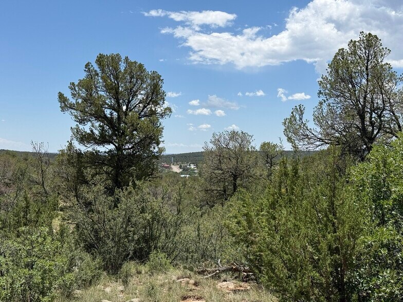 More Photos Of 44 Forest 321 Rd, Estancia Land For Sale