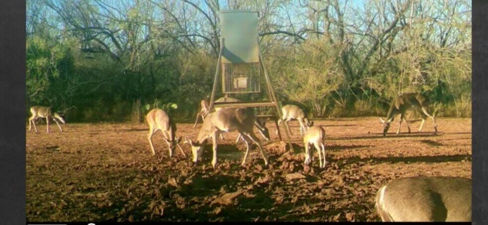 More Photos Of 3265 TX-97, Jourdanton Land For Sale