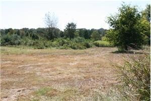 More Photos Of 2510 E Oak St, Conway Land For Sale