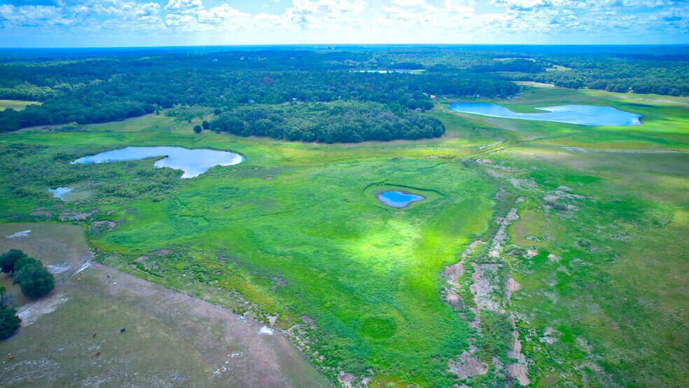 More Photos Of 3267 Neff Lake Rd, Brooksville Land For Sale