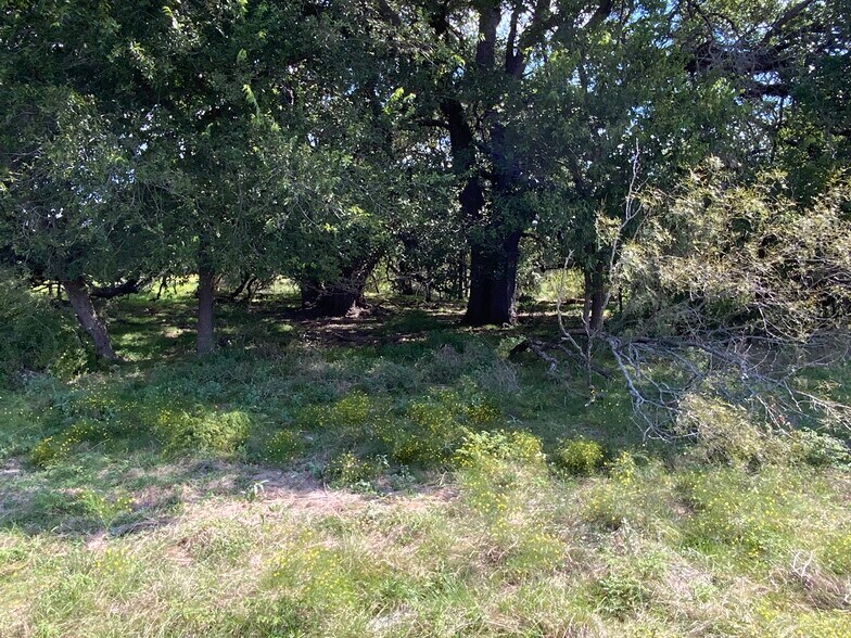 More Photos Of TBD County Road 396, Carlton Land For Sale