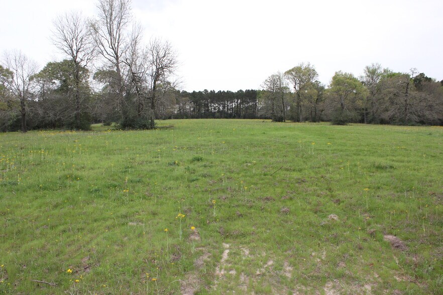 More Photos Of 16046 Honea Rd W, Montgomery Land For Sale