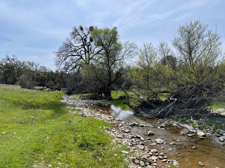 More Photos Of 5877 State 49 hwy, Mariposa Land For Sale