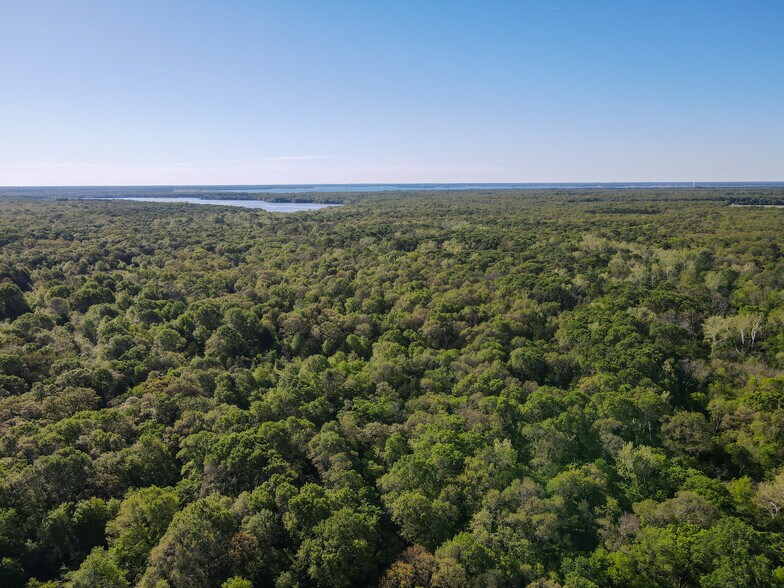 More Photos Of 3842 FM 2029, Telephone Land For Sale