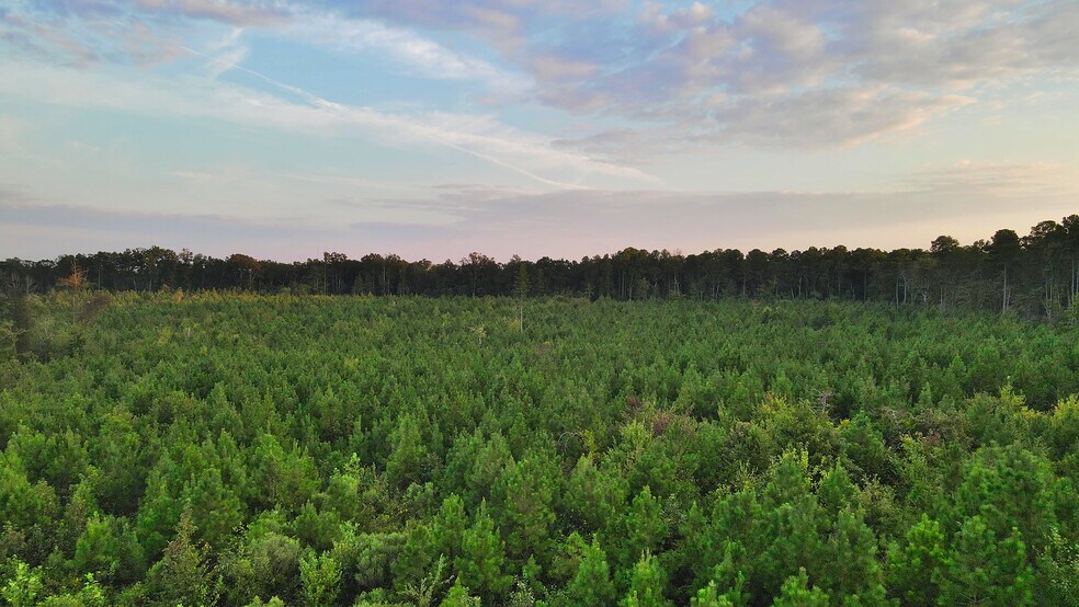 More Photos Of 3125 Third, Siler City Land For Sale