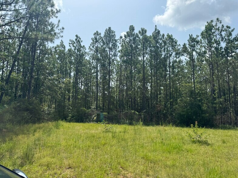 More Photos Of 0 Nokomis Road, Walnut Hill Land For Sale
