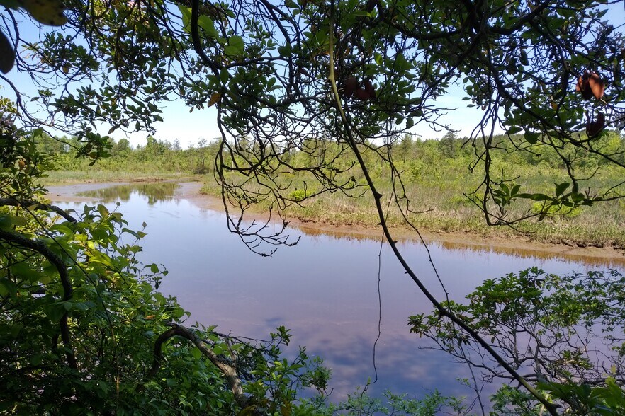 More Photos Of Trigger Lane, Colonial Beach Land For Sale