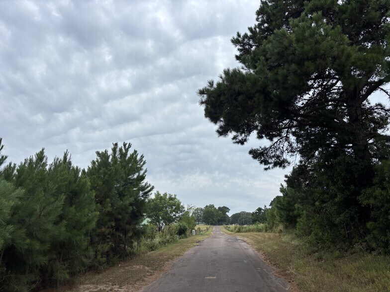 More Photos Of TBD 12.49 CR 1243 Linden Texas 75563, Linden Land For Sale