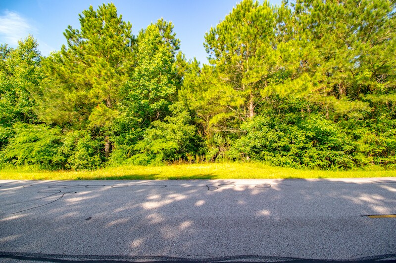 More Photos Of NC Hwy 94, Creswell Land For Sale