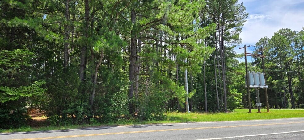 More Photos Of 00 Wicker St, Sanford Land For Sale
