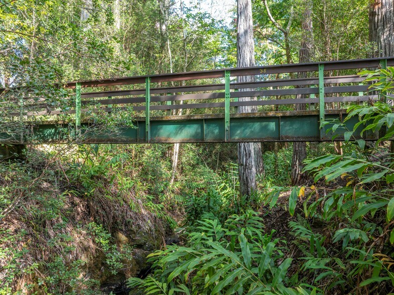 More Photos Of 46-306 Mamalahoa hwy, Honokaa Land For Sale