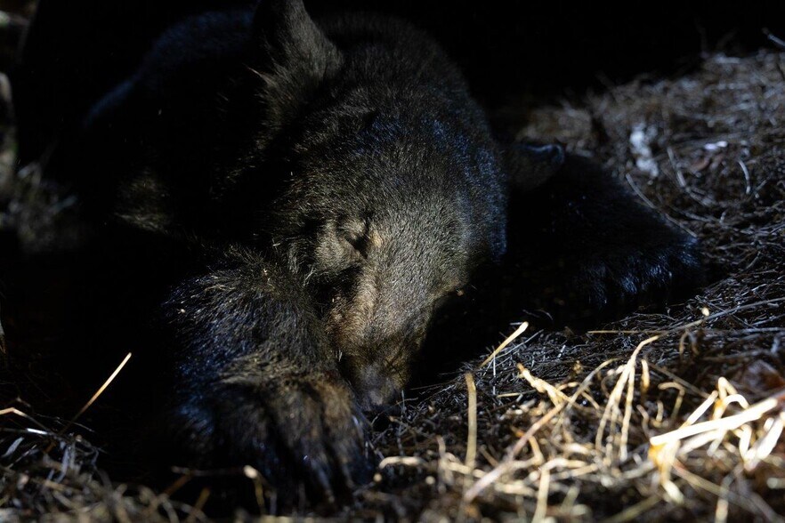 More Photos Of 0 Foothills Rd, Callaway Land For Sale