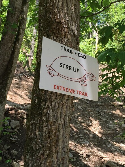 More Photos Of 93 Buck Run Rd, Bedford Land For Sale