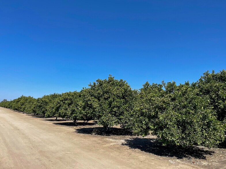 More Photos Of Bena Rd., Bakersfield Land For Sale