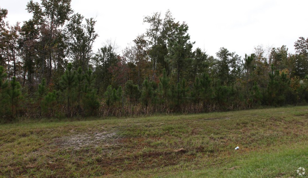 More Photos Of 76096 Timbercreek Blvd, Yulee Land For Sale