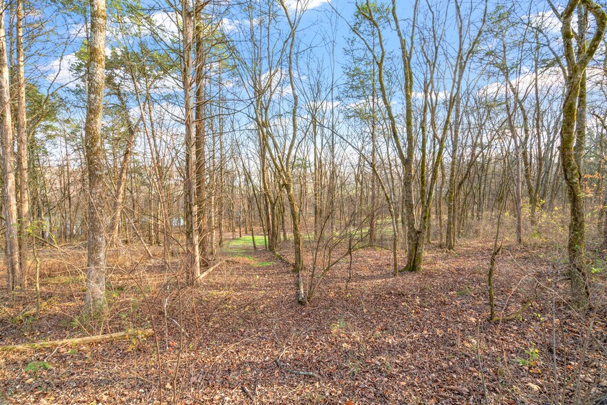 More Photos Of 0 Old Athens Pike, Sweetwater Land For Sale