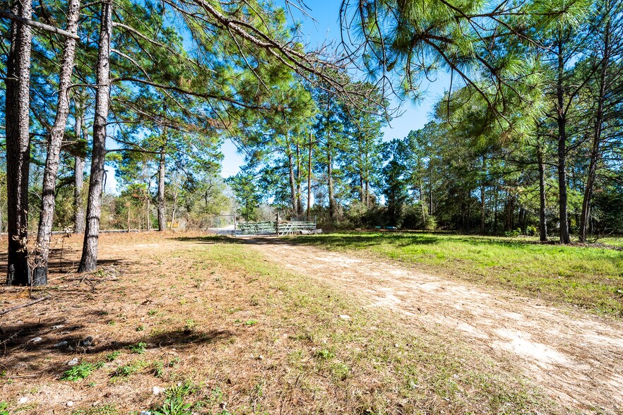 More Photos Of 31865 FM 1485 Rd, New Caney Land For Sale