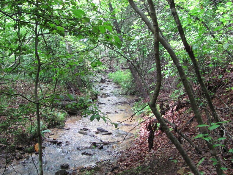 More Photos Of Ridge Rd, Ferguson Land For Sale