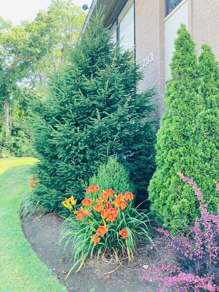 More Photos Of 2233 Nesconset Hwy, Lake Grove Medical For Lease