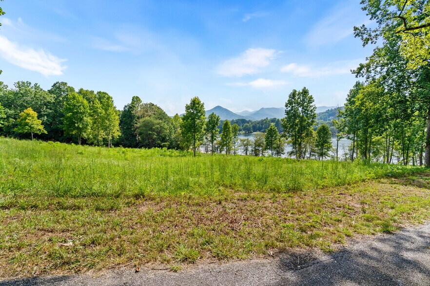 More Photos Of 314 Lakeside dr, Hiawassee Land For Sale