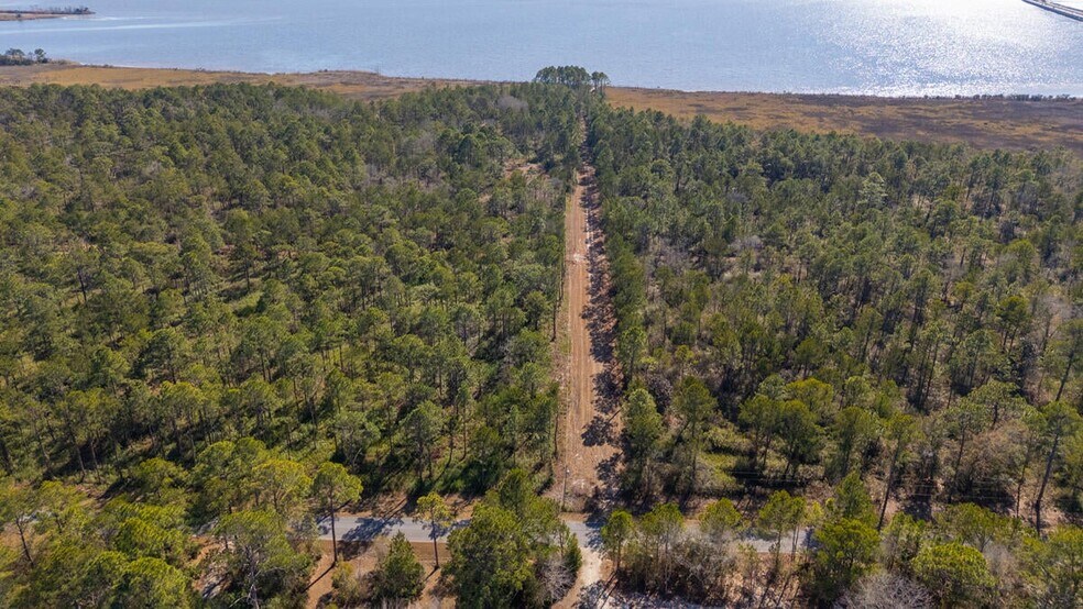 More Photos Of Hwy 331 S & Jolly Bay Road, Freeport Land For Sale