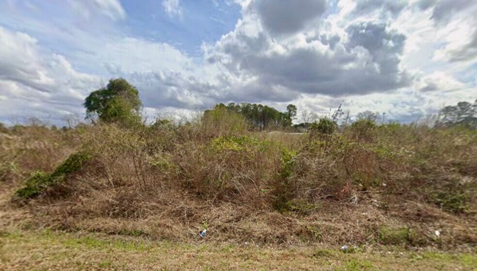More Photos Of 290 Ashwood SE st, Orangeburg Land For Sale