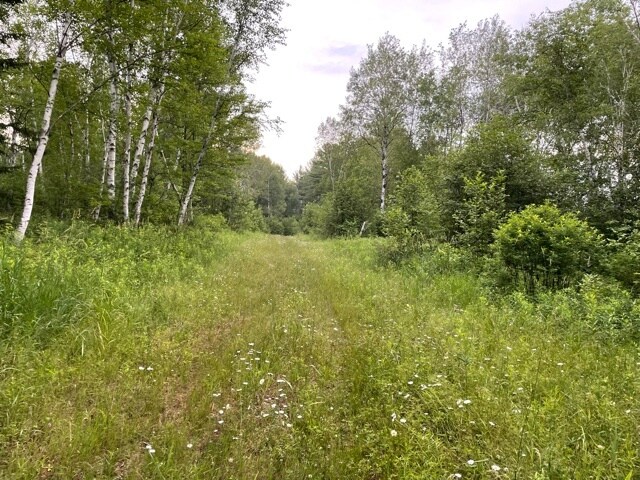 More Photos Of Hogsback Road, Exeland Land For Sale