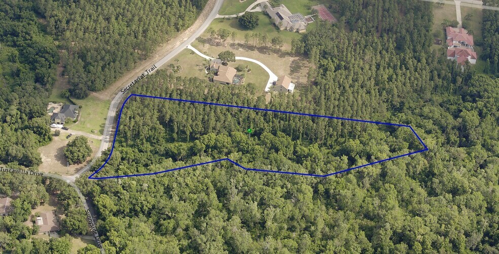 Primary Photo Of 31004 Secretariat Trl, Leesburg Land For Sale