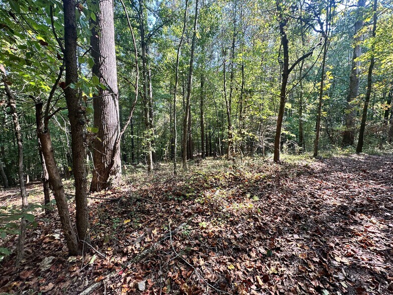 More Photos Of 7330 Frix Rd, Cumming Land For Sale