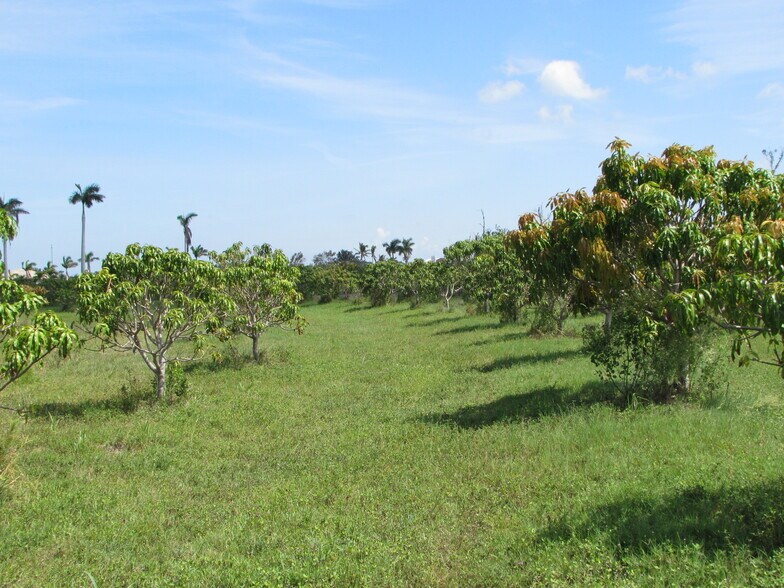 More Photos Of 9000 Stringfellow Rd, Saint James City Land For Sale