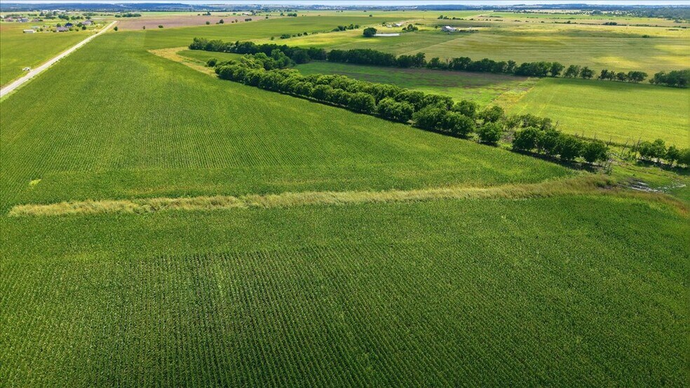 More Photos Of County Road 319, Granger Land For Sale