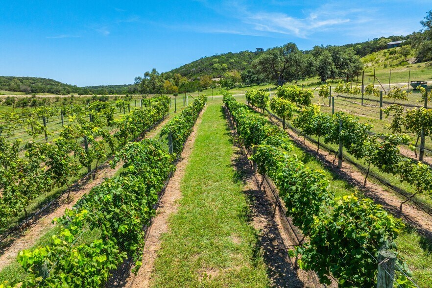 More Photos Of 5081 Bandera Hwy, Camp Verde Winery Vineyard For Sale