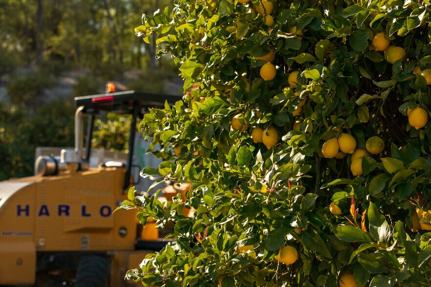 More Photos Of 15000 Middle Ranch Rd, Moorpark Land For Sale