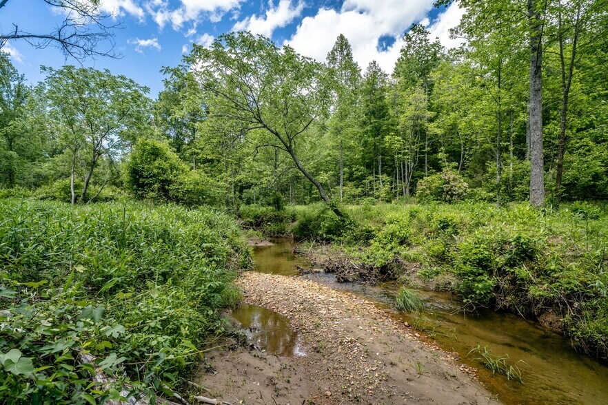 More Photos Of tbd Green Creek Rd, Schuyler Land For Sale