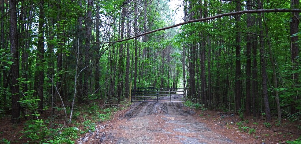 More Photos Of 2680 River Rd, Ellenwood Land For Sale