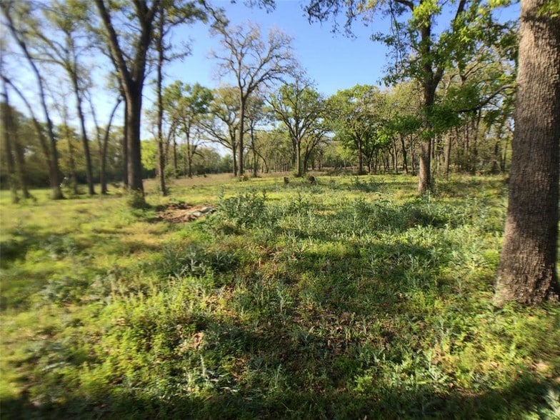 More Photos Of 24936 HIGHWAY 159, Hempstead Land For Sale