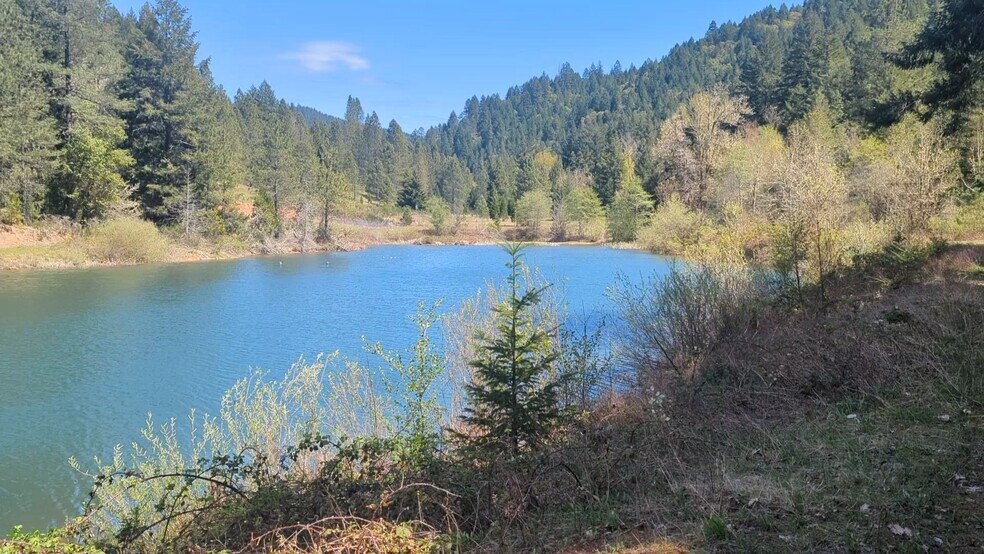 More Photos Of 2999 Speaker Rd, Wolf Creek Land For Sale