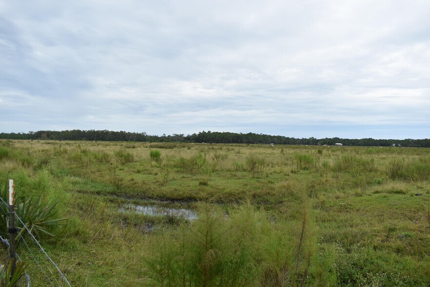 More Photos Of 2800 Tomoka Farms rd, Port Orange Land For Sale