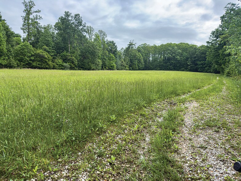 More Photos Of 2475 W County Road 1050 S, Cloverdale Land For Sale