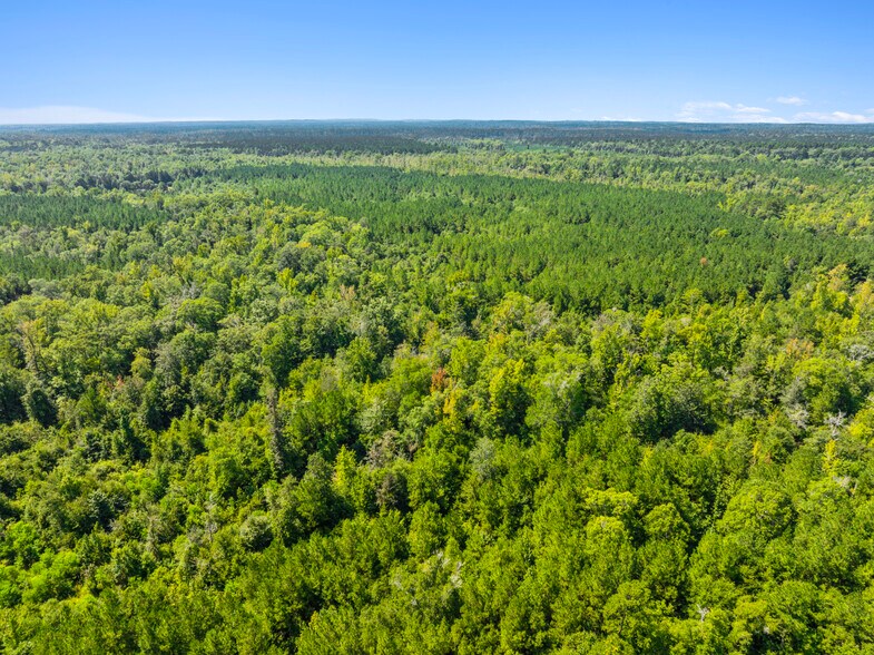 More Photos Of 7471 Highway 155, Saline Land For Sale