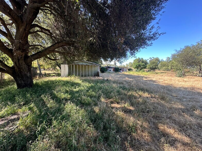 More Photos Of 1528 Olivewood Ln, Alpine Land For Sale