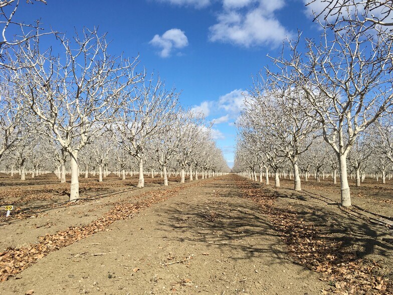Primary Photo Of California ave, Firebaugh Land For Sale