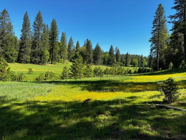More Photos Of 5110 Sly Park Rd, Pollock Pines Land For Sale