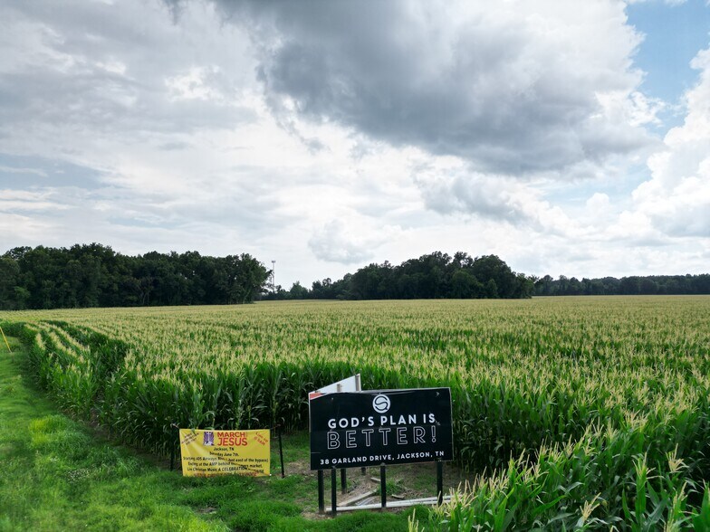More Photos Of 00 Hwy 45 N, Jackson Land For Sale